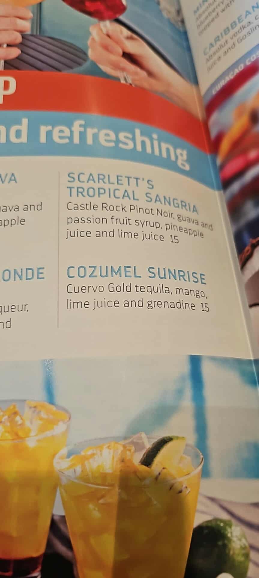A photo of a drink menu in my hands at Royal Caribbean Anthem of the Seas